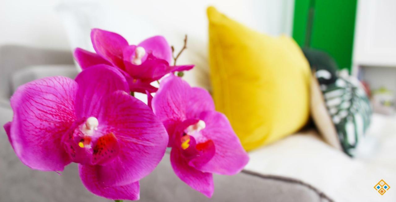 Sa Domu De Ajaja Apartments กาญารี ภายนอก รูปภาพ